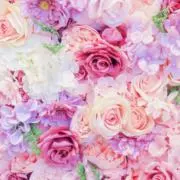 清水　彩華　大特価中　26歳の画像