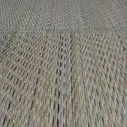 スイカ