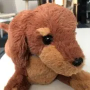 てるmaroの画像