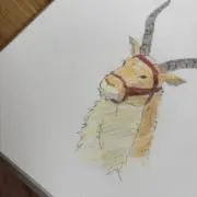 hi