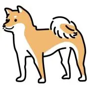 dogの画像