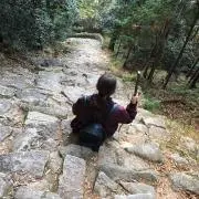 さくろに