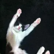 れいら☆プロフ必読❣️