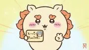 大納言あずきの画像