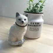 ✽mon✽の画像