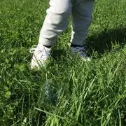 ゆったんの画像
