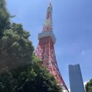 みふぁの画像