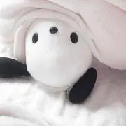 N✩の画像