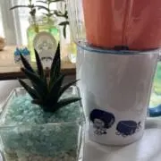 みやの画像