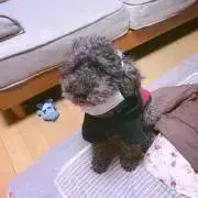 なべの画像