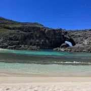 ckの画像