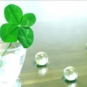 ビューティフルハーモニー