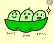 おまめの画像