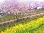 ✿KEIKO✿ ★匿名発送★即購入歓迎★の画像