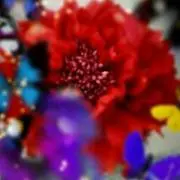 013*【プロフ必読】