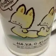 yasuの画像