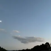 Mの画像