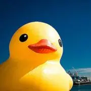 ありの画像