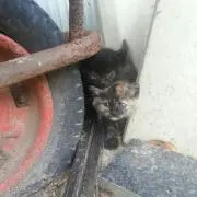 パーナァ