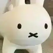 ちょこの画像