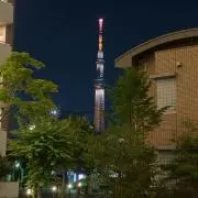 本田賢流の画像