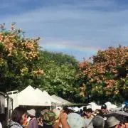 まりおの画像