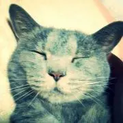 ちーちゃん