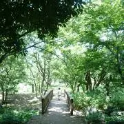 H.の画像