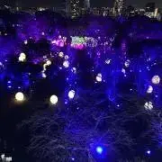 ゆ★の画像