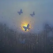 よわちゃろの画像
