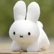 えびの画像