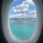 Tyの画像