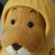 ふゃいの画像