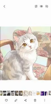 あゆりんの画像
