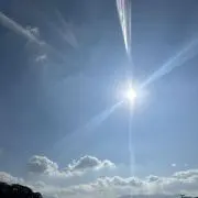 しょの画像