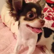 引越しのため断捨離中♡の画像