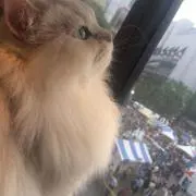 ヨシケン