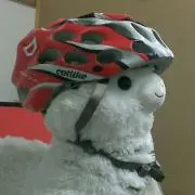 ようの画像