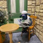 ぼんどの画像
