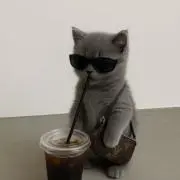 ちゃんののの画像