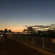sayoの画像