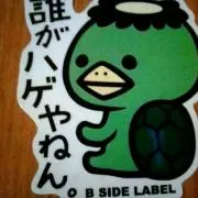 政