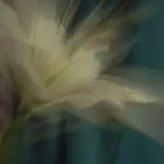 Aの画像