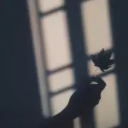 姫の画像