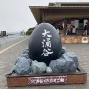 セデラの画像