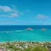 ねねの画像