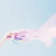 N&D.の画像
