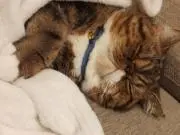 もりサウナの画像