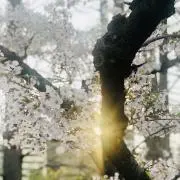 luna (プロフィール必読ฅฅニャ)の画像