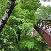 ken_chanの画像
